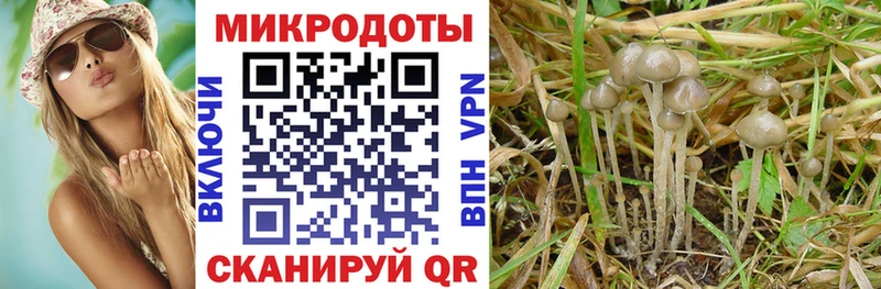 Псилоцибиновые грибы мухоморы  купить наркотики сайты  Апатиты 